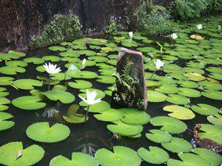 Mowbrey House Hotel Kandy Bagian luar foto